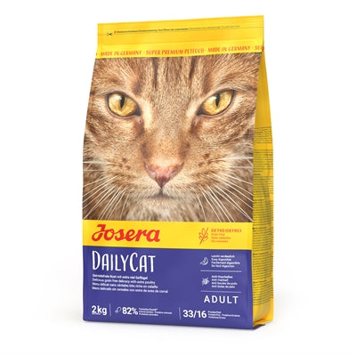 Dailycat