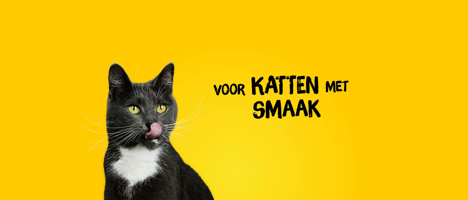 kat